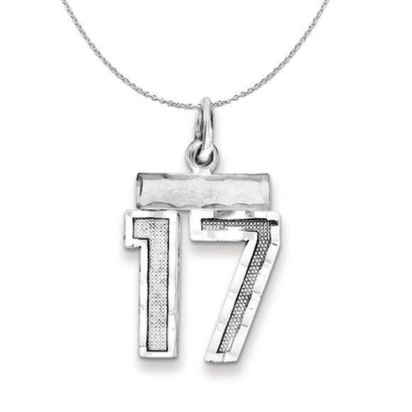 Silver, Varsity Collection, Small D/C Number 17 Necklace - 20 In - Picture 1 of 7